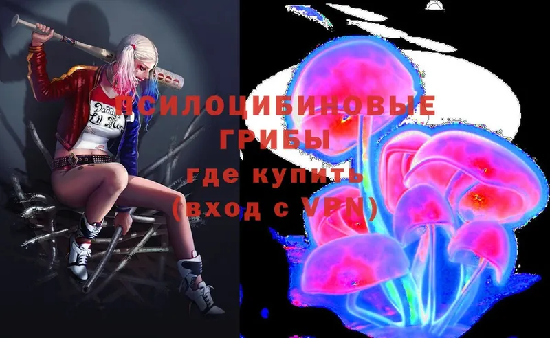 Псилоцибиновые грибы Psilocybe  как найти закладки  Полевской 